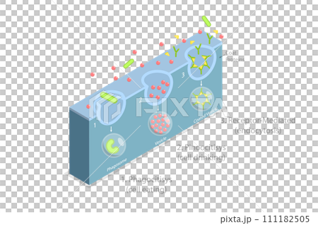 3D Isometric Flat Conceptual Illustration of Endocytosis 3D Isometric Flat Conceptual Illustration of Endocytosis 111182505