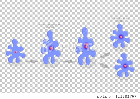3D Isometric Flat  Conceptual Illustration of Amoeba Reproduction, Irregular Binary Fission 111182767
