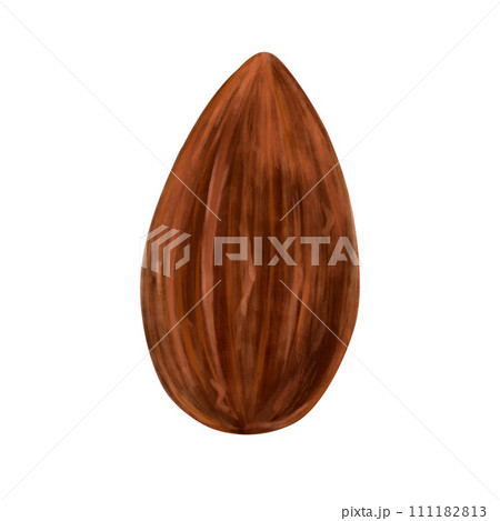 Almonds drawn in watercolor, nut fruit, healthy eating, protein source, almond milk. Almond illustration 111182813