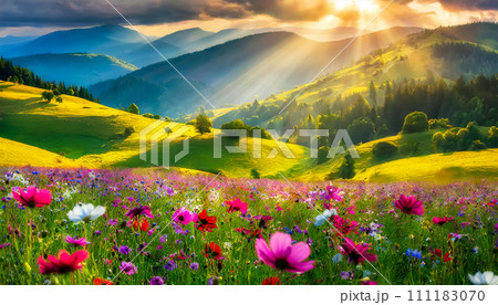 Colorful flower meadow with sunbeams and bokeh lights in summer nature background Colorful flower meadow with sunbeams and bokeh lights in summer nature background 111183070