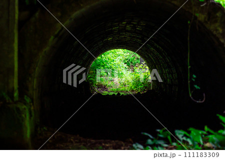 古いトンネルの先に緑が見える　風景素材 111183309