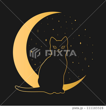 Black cat sitting on a crescent. Magic and sorcery background. Vector illustration Black cat sitting on a crescent. Magic and sorcery background. Vector illustration 111183328
