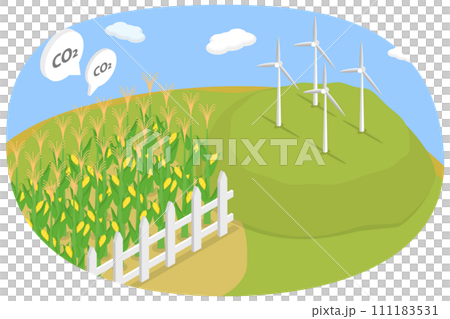 3D Isometric Flat Conceptual Illustration of Corn Plants Field For Biodiesel, Alternative Fuel Source 3D Isometric Flat Conceptual Illustration of Corn Plants Field For Biodiesel, Alternative Fuel Source 111183531