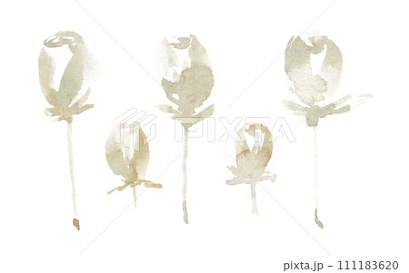 Watercolor abstract roses on stem beige Watercolor abstract roses on stem beige 111183620