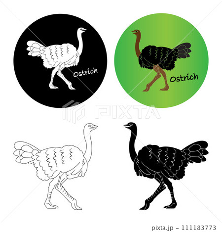 Ostrich icon 111183773