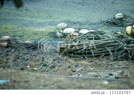 宇土市　住吉海岸公園 111183787