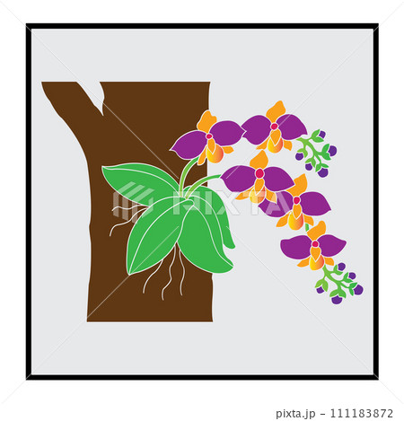 Orchid flower icon 111183872