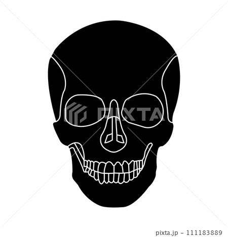 Human skull icon Human skull icon 111183889