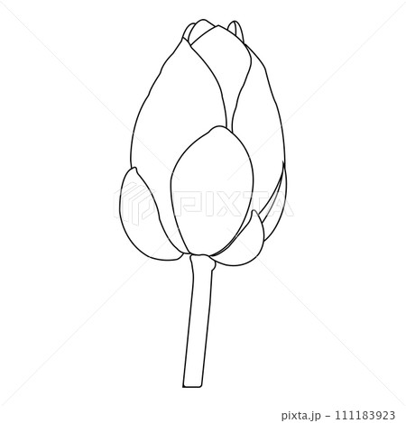 Lotus flower icon 111183923