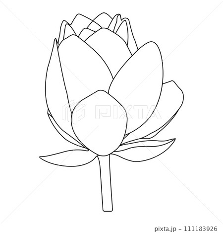 Lotus flower icon 111183926
