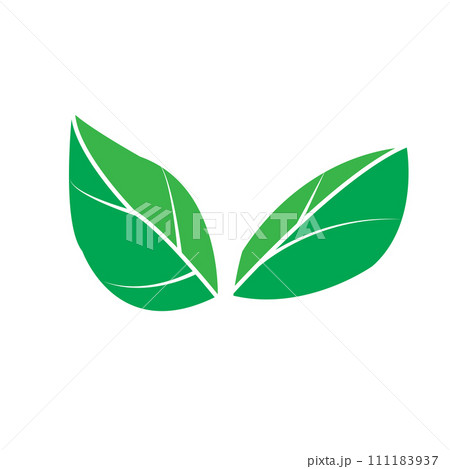 Leaf icon Leaf icon 111183937