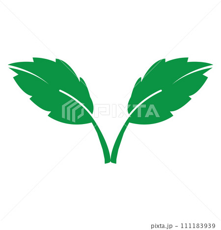 Leaf icon Leaf icon 111183939