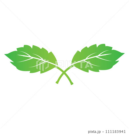 Leaf icon 111183941