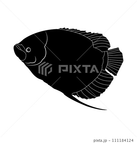 Fish logo 111184124