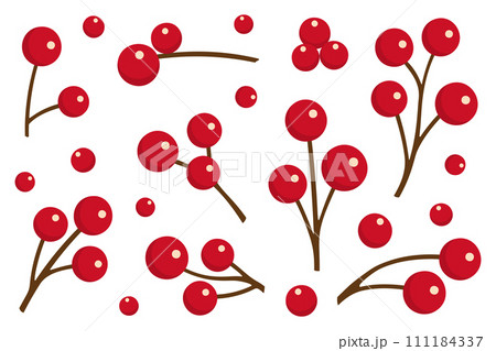Red winter berries. Flat cartoon style berries on branch. Red winter berries. Flat cartoon style berries on branch. 111184337