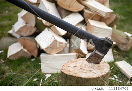 Ash trunk chopped to small pieces with axe Ash trunk chopped to small pieces with axe 111184701