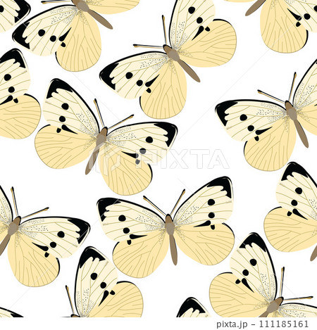 Pieris rapae design seamless pattern 111185161