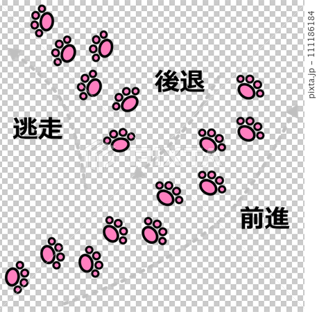 Illustrated explanation of an animal stopping its footprints in order to disturb its pursuers 111186184