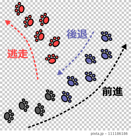 Illustrated explanation of an animal stopping its footprints in order to disturb its pursuers 111186186