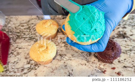 Using buttercream frosting, vanilla and chocolate cupcakes are intricately decorated to resemble various types of cactuses, creating a delightful and visually engaging dessert that showcases Using buttercream frosting, vanilla and chocolate cupcakes are intricately decorated to resemble various types of cactuses, creating a delightful and visually engaging dessert that showcases 111186252