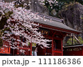 桜咲く大谷寺の春 111186386