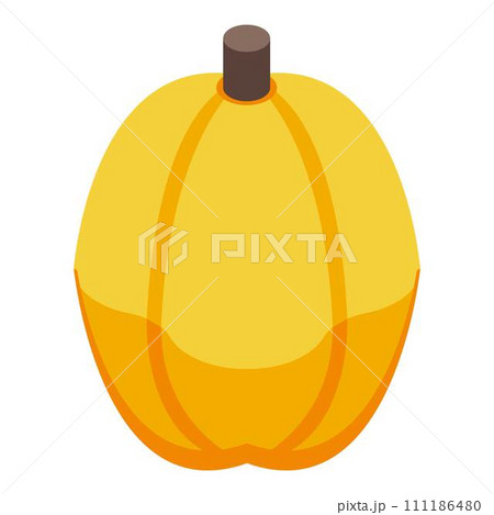 Yellow chestnut icon. Isometric of yellow chestnut vector icon for web design isolated on white background Yellow chestnut icon. Isometric of yellow chestnut vector icon for web design isolated on white background 111186480