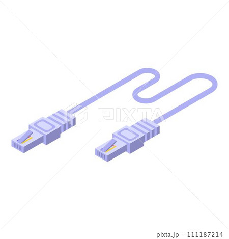 Internet lan cable icon. Isometric of internet lan cable vector icon for web design isolated on white background 111187214
