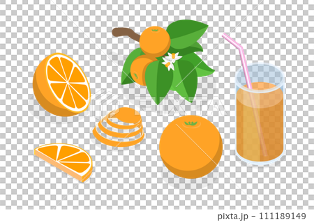 3D Isometric Flat  Set of Orange Fruit 111189149
