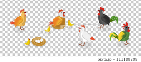 3D Isometric Flat Set of Chickens 3D Isometric Flat Set of Chickens 111189209