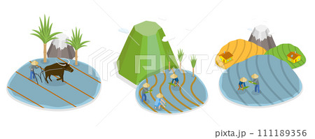 3D Isometric Flat Conceptual Illustration of Rice Farm 3D Isometric Flat Conceptual Illustration of Rice Farm 111189356