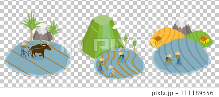 3D Isometric Flat  Conceptual Illustration of Rice Farm 111189356