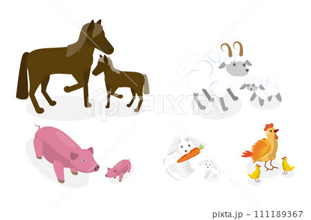 3D Isometric Flat  Set of Farm Animal Families 111189367