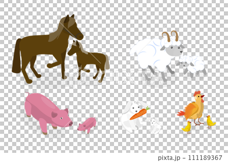3D Isometric Flat  Set of Farm Animal Families 111189367