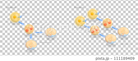 3D Isometric Flat  Conceptual Illustration of Monozygotic And Dizygotic Twins 111189409