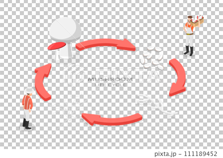 3D Isometric Flat  Conceptual Illustration of Mushroom Life Cycle 111189452
