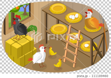 3D Isometric Flat Conceptual Illustration of Chicken Barn 3D Isometric Flat Conceptual Illustration of Chicken Barn 111189460