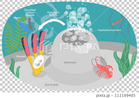 3D Isometric Flat  Conceptual Illustration of Chemosynthesis 3D Isometric Flat  Conceptual Illustration of Chemosynthesis 111189485