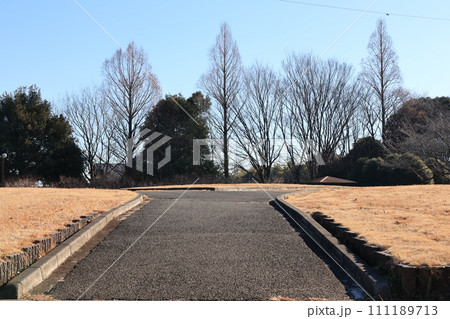 さいたま市西区の花の丘公苑の風景 111189713