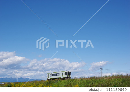 キハ110一両普通列車 八高線 児玉付近 111189849