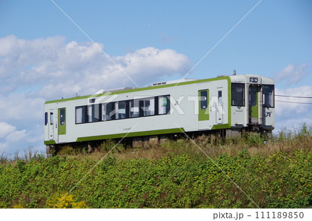 キハ110一両普通列車 八高線 児玉付近 111189850
