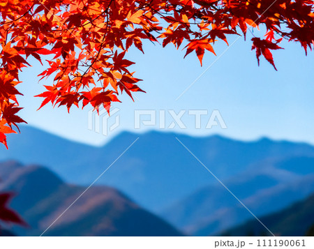 秋の景色　秩父の山並みと鮮やかな色とりどりの美しい紅葉 111190061