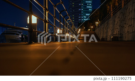 天王洲アイル第一水辺広場の夜景 111190275