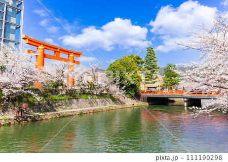 春の京都 岡崎疏水と平安神宮の大鳥居 春の京都 岡崎疏水と平安神宮の大鳥居 111190298