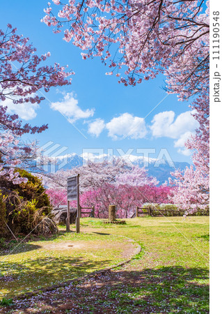 大草城址公園(春) 大草城址公園(春) 111190548