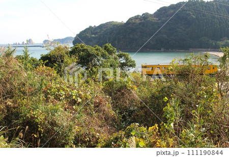 日南線のディーゼルカー　油津ー大堂津　宮崎県 111190844