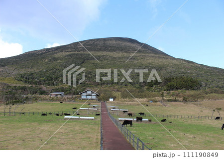 ふれあい牧場から見る八丈富士 八丈島 東京都 ふれあい牧場から見る八丈富士 八丈島 東京都 111190849