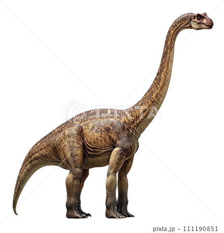 ブラキオサウルスのイメージ image of Brachiosaurus No3-1 ブラキオサウルスのイメージ image of Brachiosaurus No3-1 111190851