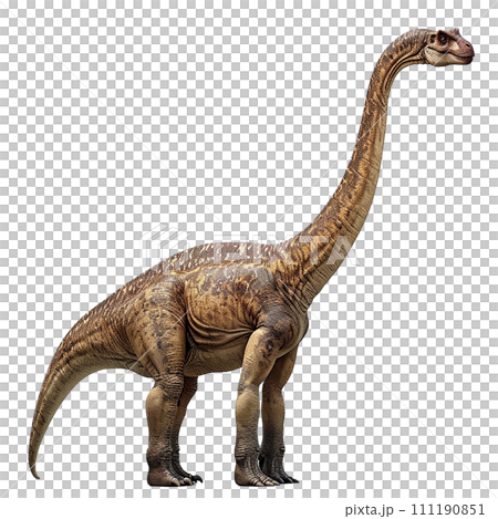 Image of Brachiosaurus No3-1 111190851