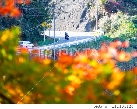 南房総の秋景色　もみじロードと志駒川沿道の美しい紅葉 111191120