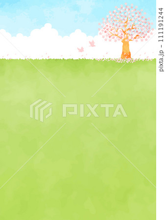 野原に咲く桜と青空の風景イラスト 111191244